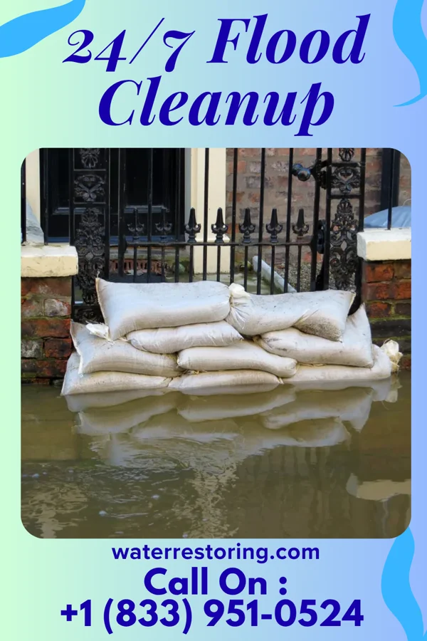 24/7 Flood Cleanup in Strasburg, VA
