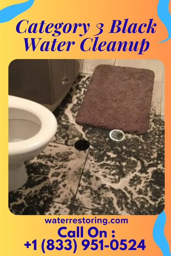 Category 3 Black Water Cleanup in Strasburg, VA