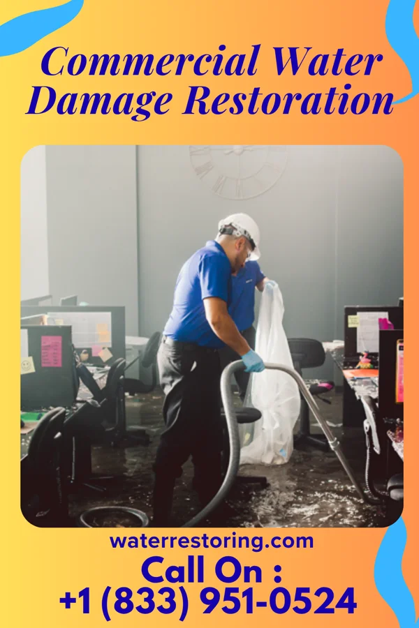 Commercial Water Damage Restoration in Strasburg, VA