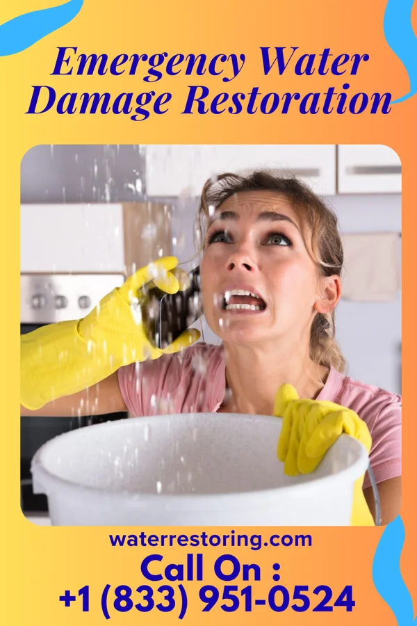 Emergency Water Damage Restoration in Strasburg, VA