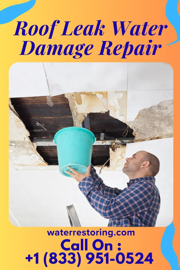 Roof Leak Water Damage Repair in Strasburg, VA