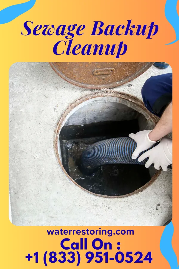 Sewage Backup Cleanup in Strasburg, VA